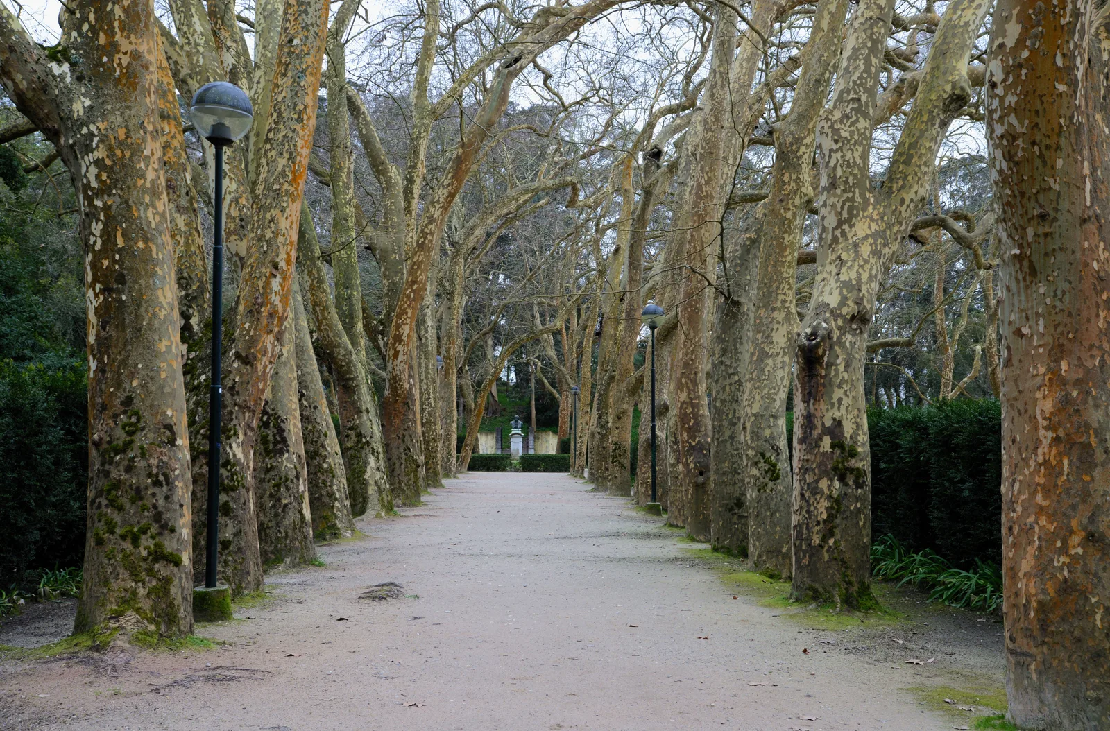 Caldas da Rainha